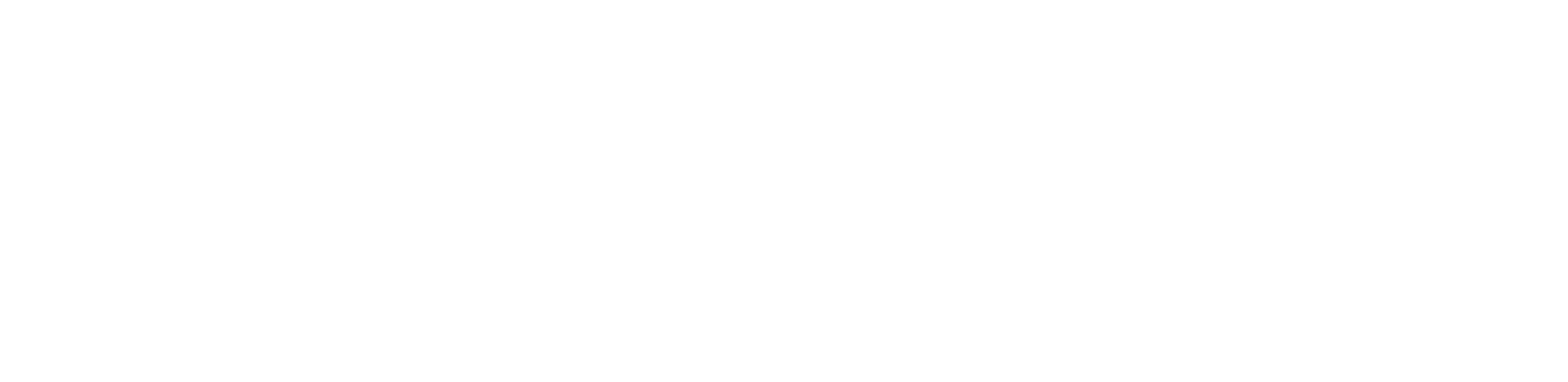 skippz.avlanchelabs.com